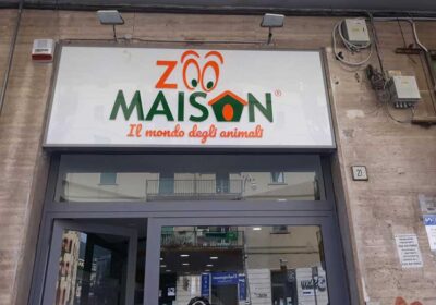 Mazzola Design S.r.l.s: allestimento Negozio "Zoo Maison" il mondo degli animali