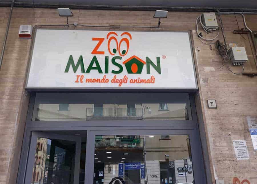Mazzola Design S.r.l.s: allestimento Negozio "Zoo Maison" il mondo degli animali